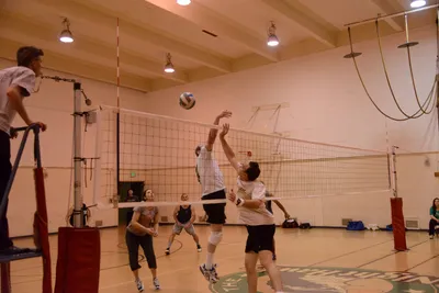 DSC_1806 (Large).JPG